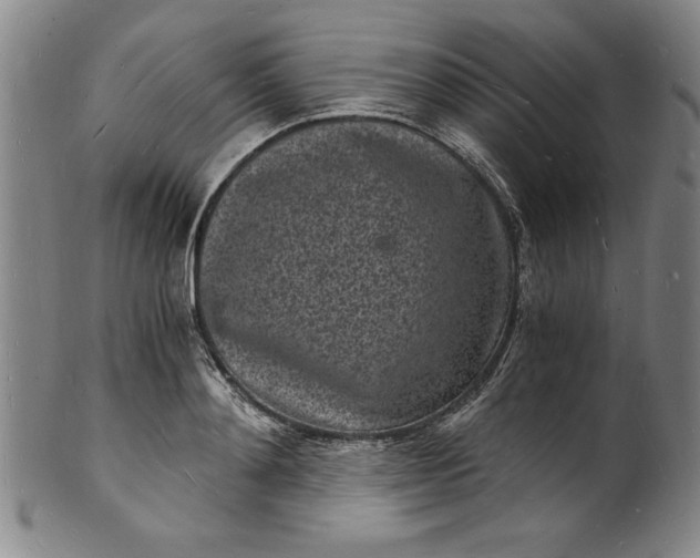 X0000102220892200808081314