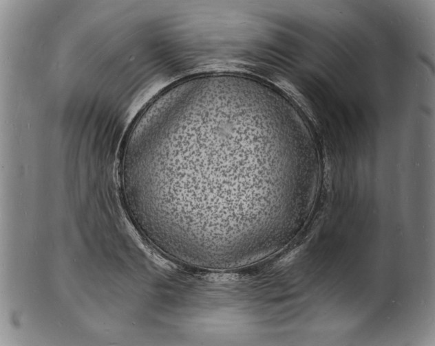 X0000102220893200808081314