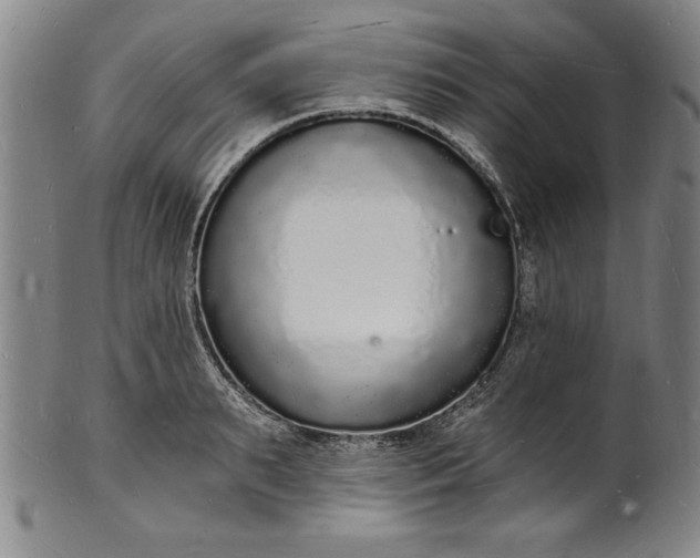 X0000102220895200808081314