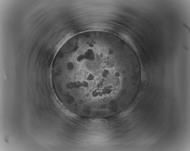 X0000102220899200808081314