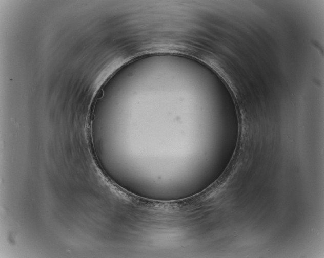 X0000102220901200808081314