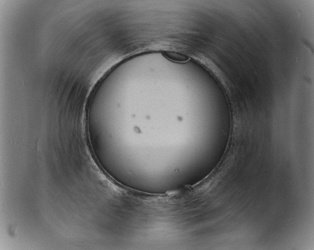 X0000102220902200808081314