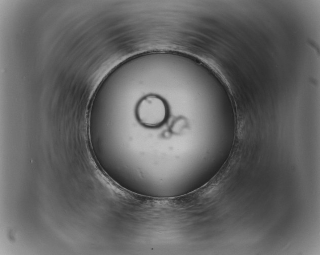 X0000102220903200808081314