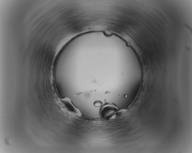 X0000102220904200808081314