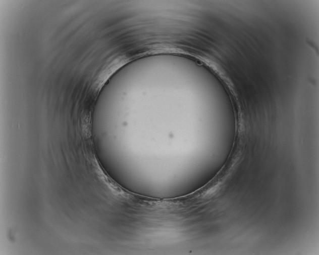 X0000102220905200808081314