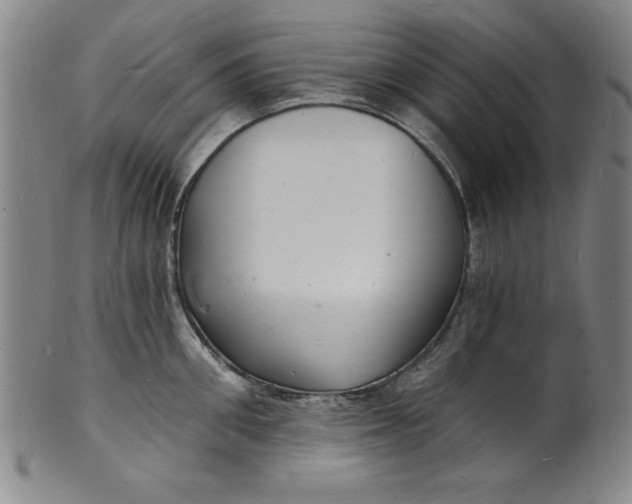 X0000102220906200808081314