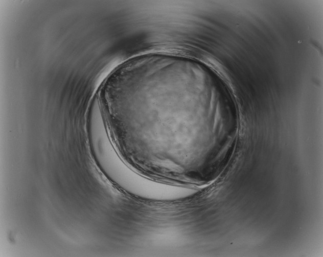 X0000102220907200808081314