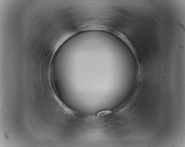 X0000102220909200808081314