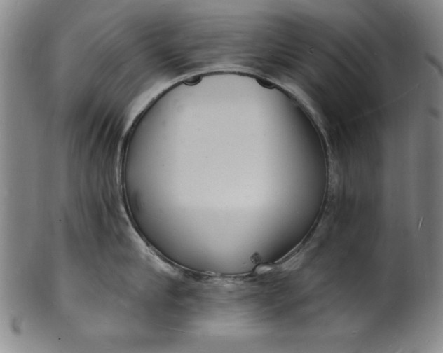 X0000102220910200808081314