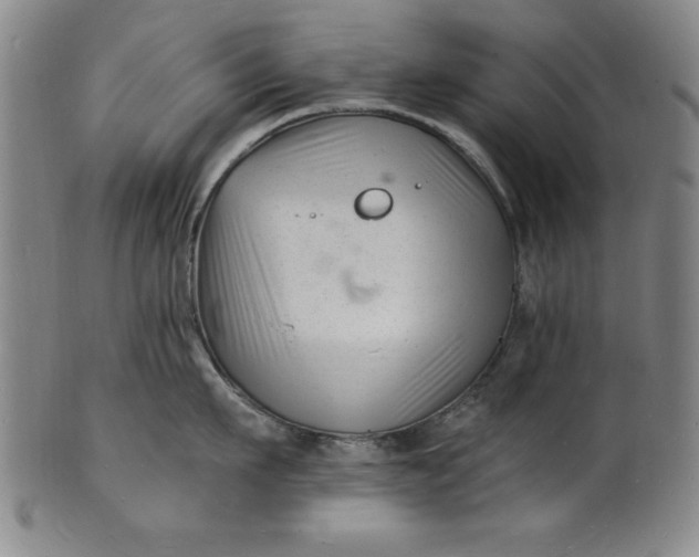 X0000102220911200808081314