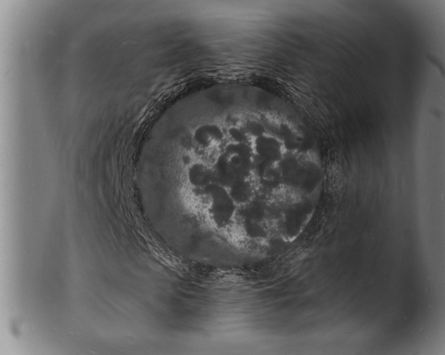 X0000102220913200808081313