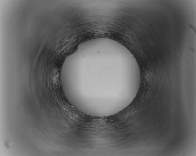 X0000102220914200808081313