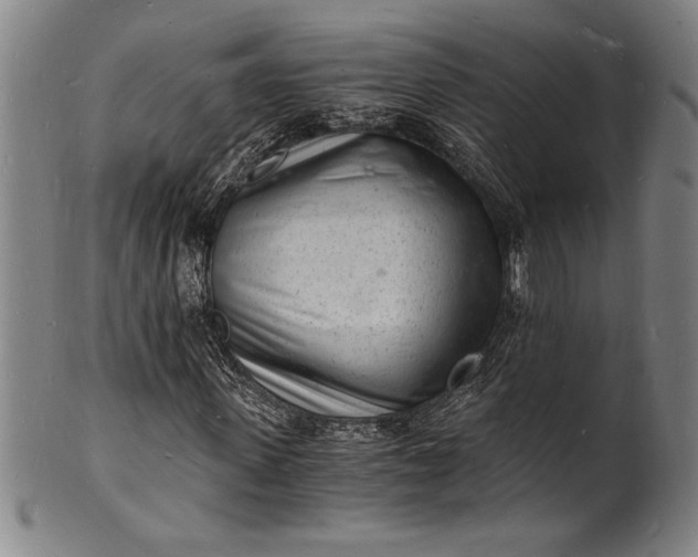 X0000102220915200808081313