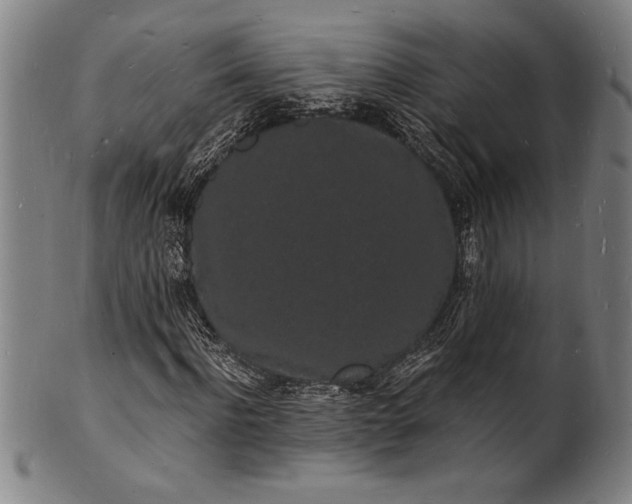 X0000102220916200808081313