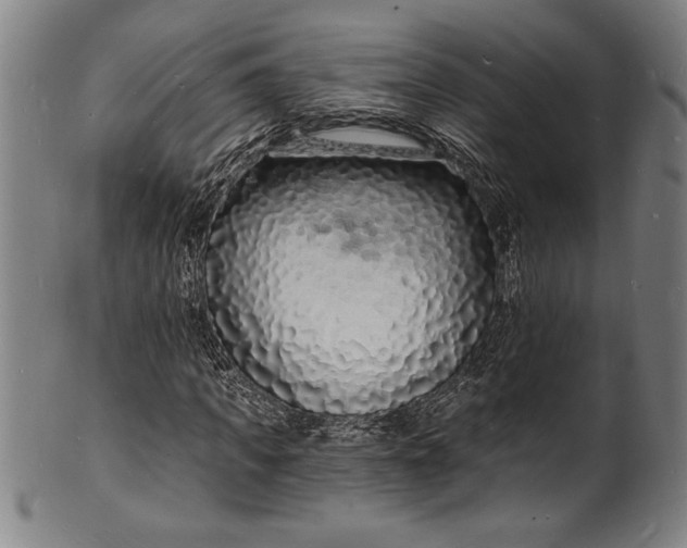 X0000102220917200808081313