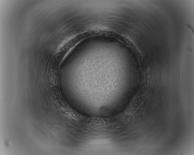 X0000102220919200808081313