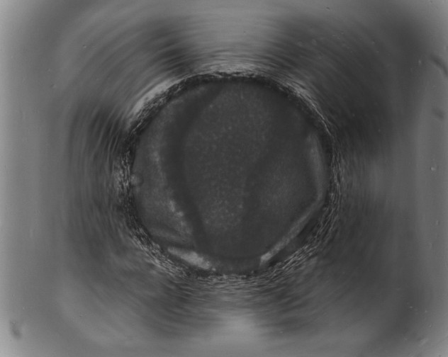 X0000102220920200808081313