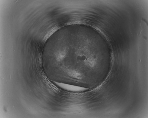 X0000102220921200808081313