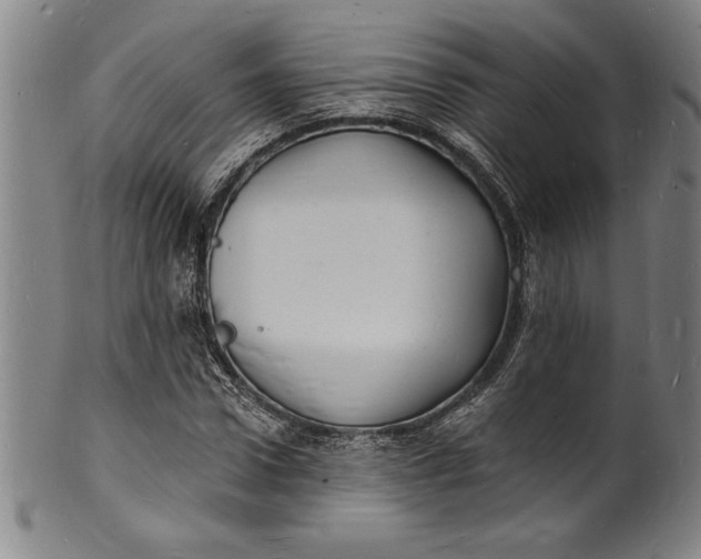 X0000102220922200808081313