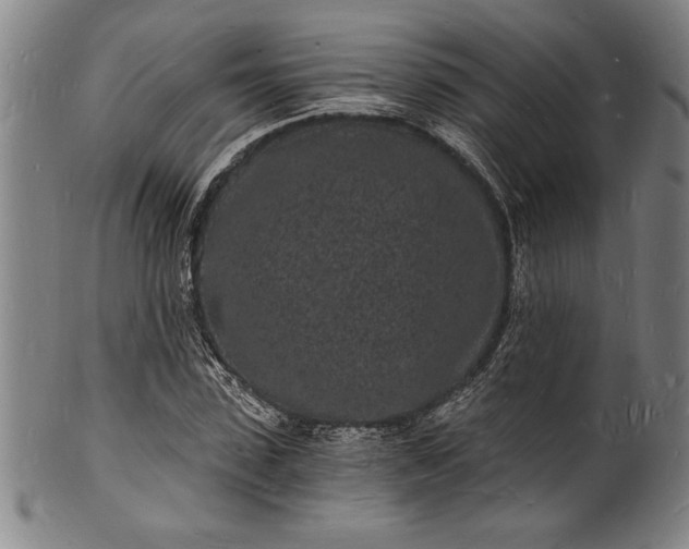 X0000102220923200808081313