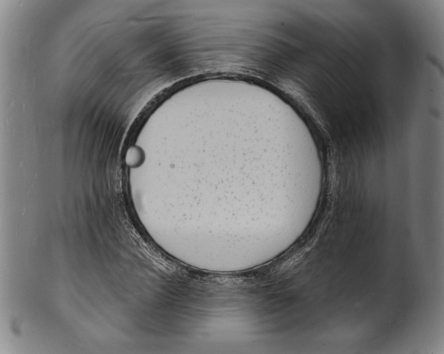 X0000102220924200808081313