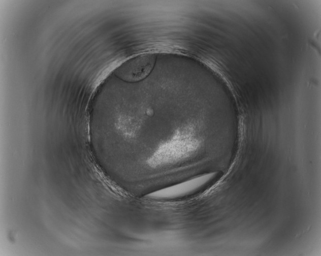 X0000102220925200808081313