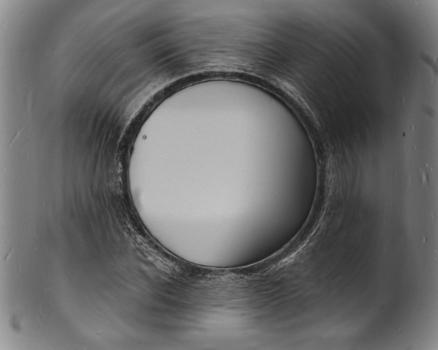 X0000102220926200808081313