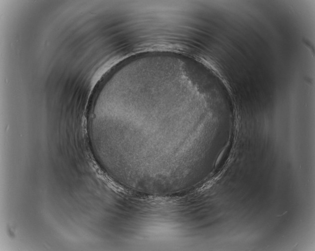 X0000102220928200808081313