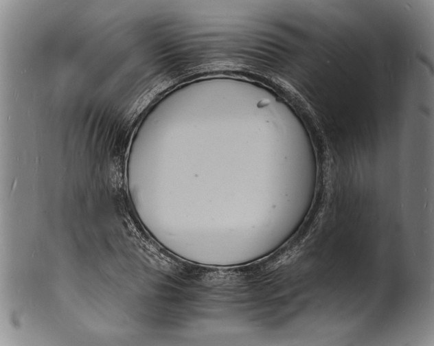 X0000102220929200808081313