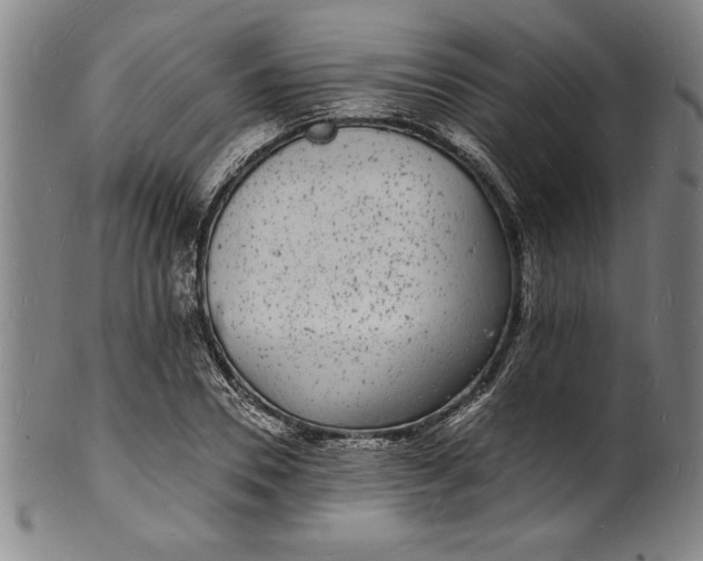 X0000102220930200808081313