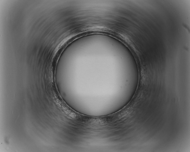 X0000102220931200808081313