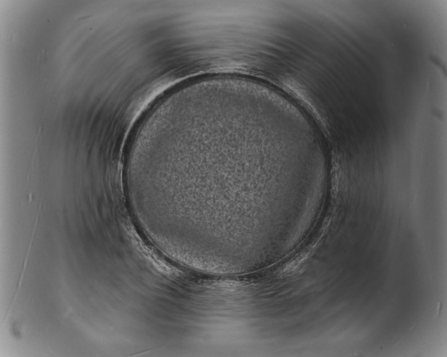 X0000102220932200808081313