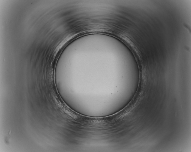 X0000102220933200808081313