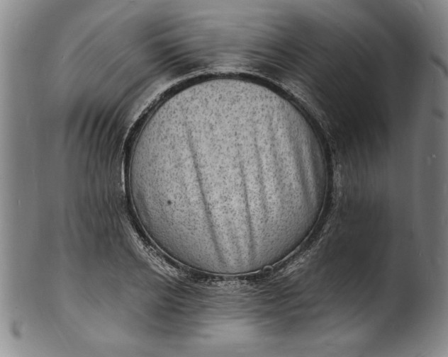 X0000102220934200808081313