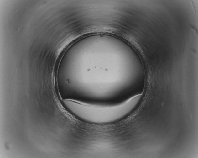 X0000102220936200808081313