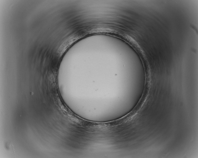 X0000102220937200808081313