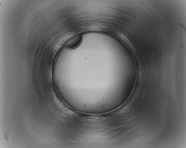 X0000102220938200808081313