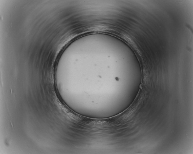 X0000102220939200808081313