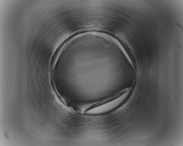 X0000102220941200808081314