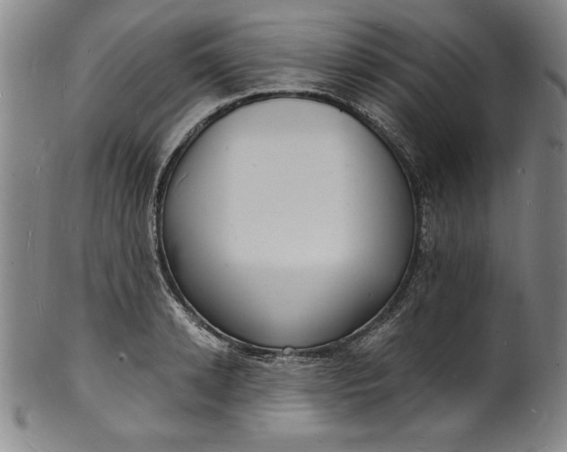 X0000102220942200808081314