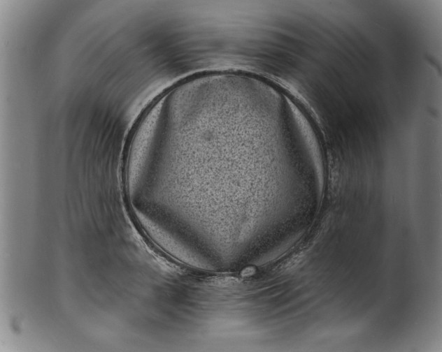 X0000102220943200808081314