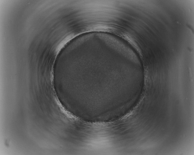 X0000102220944200808081314