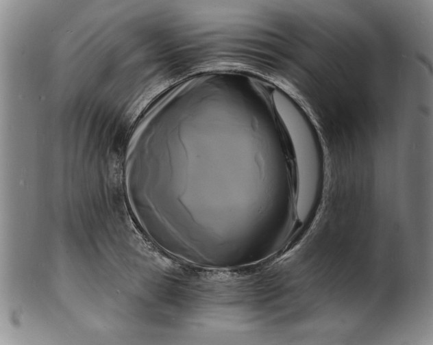 X0000102220945200808081314