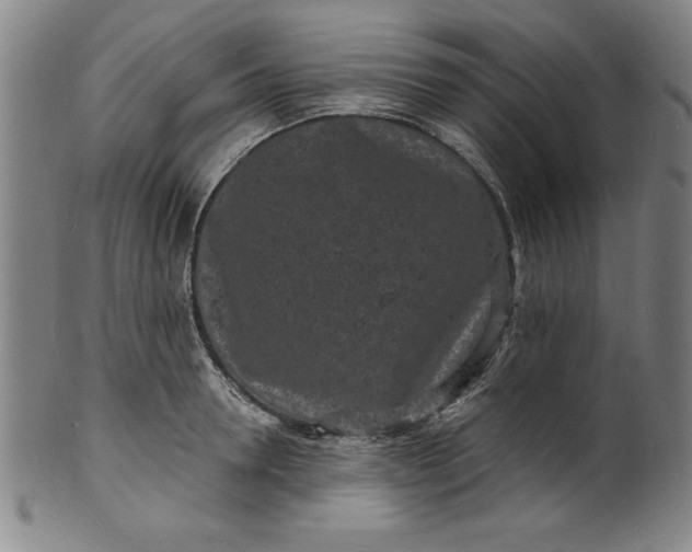 X0000102220946200808081314