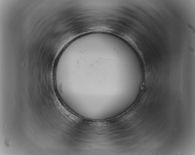 X0000102220947200808081314