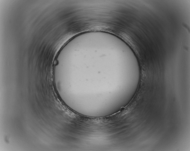 X0000102220948200808081314