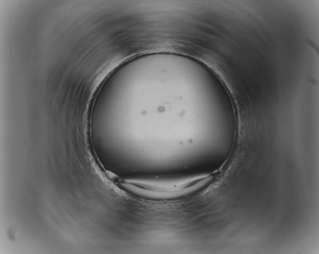 X0000102220949200808081314