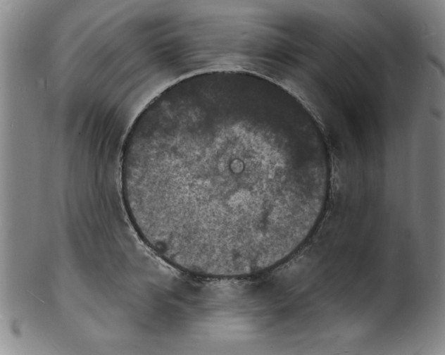 X0000102220950200808081314