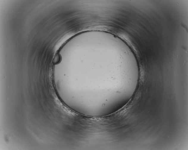 X0000102220952200808081314