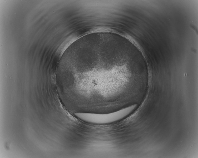 X0000102220953200808081314